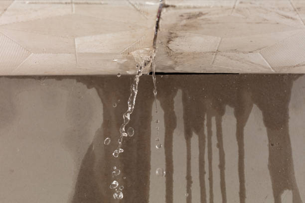 Professional Structural Drying technician working in Preston, TX